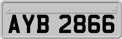 AYB2866