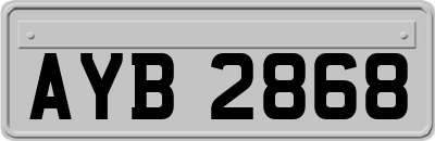 AYB2868