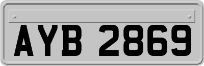AYB2869