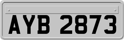 AYB2873