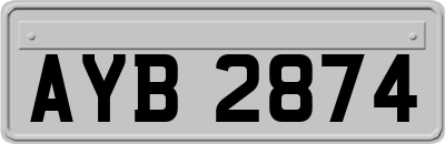 AYB2874