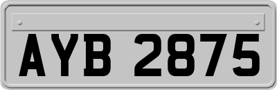 AYB2875