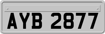 AYB2877
