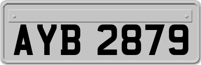 AYB2879