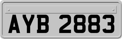 AYB2883