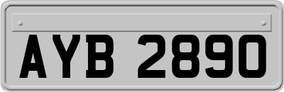 AYB2890