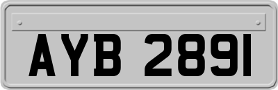 AYB2891