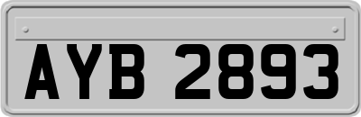 AYB2893