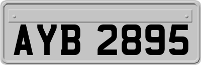 AYB2895
