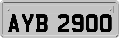 AYB2900
