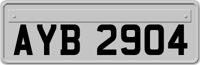 AYB2904