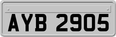 AYB2905