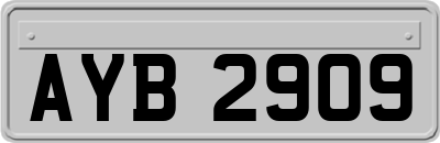 AYB2909
