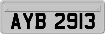 AYB2913