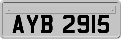 AYB2915
