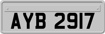 AYB2917