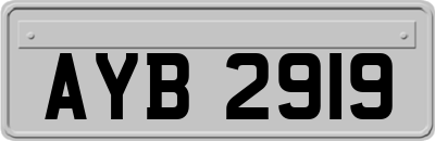 AYB2919