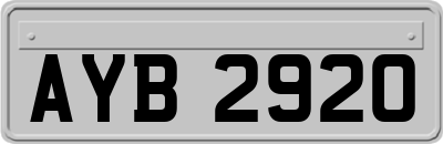 AYB2920