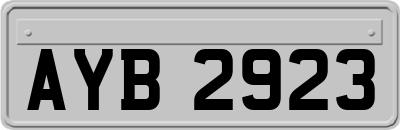 AYB2923