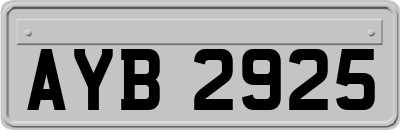 AYB2925