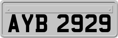 AYB2929