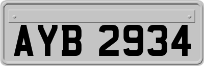 AYB2934