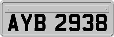 AYB2938