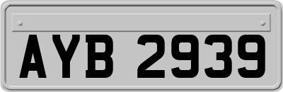 AYB2939
