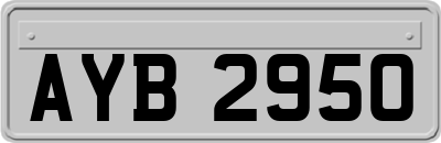 AYB2950