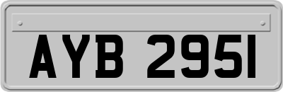 AYB2951