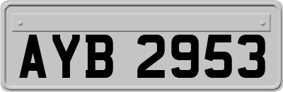 AYB2953