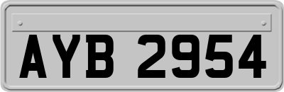 AYB2954