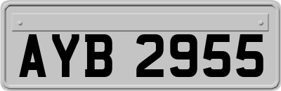 AYB2955