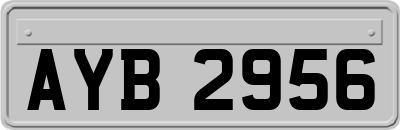 AYB2956
