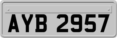 AYB2957
