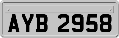 AYB2958