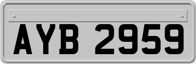 AYB2959