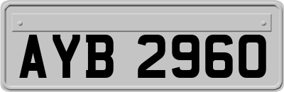 AYB2960