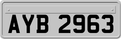 AYB2963