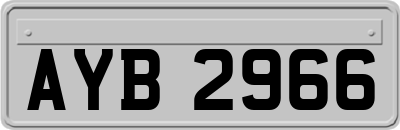AYB2966