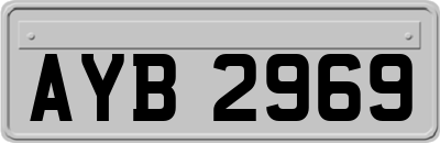 AYB2969