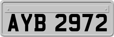 AYB2972