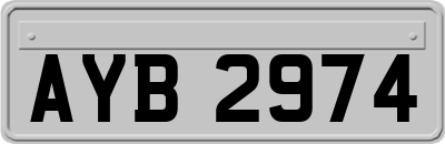 AYB2974