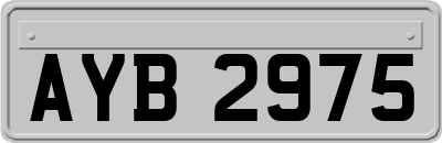 AYB2975
