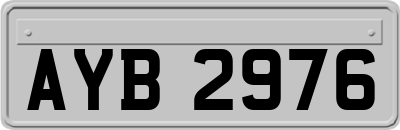 AYB2976