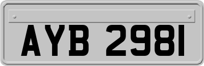 AYB2981