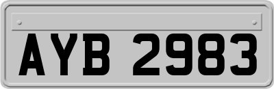 AYB2983