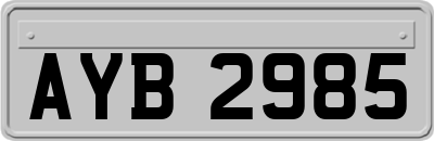 AYB2985