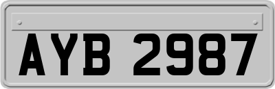 AYB2987