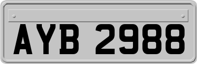 AYB2988